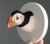 Portrait of an Atlantic Puffin