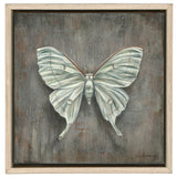 Luna Moth on Slate