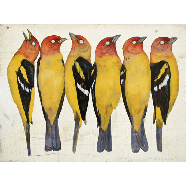 Western Tanagers