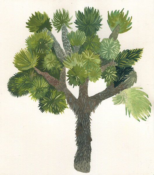 Joshua Tree no. 2